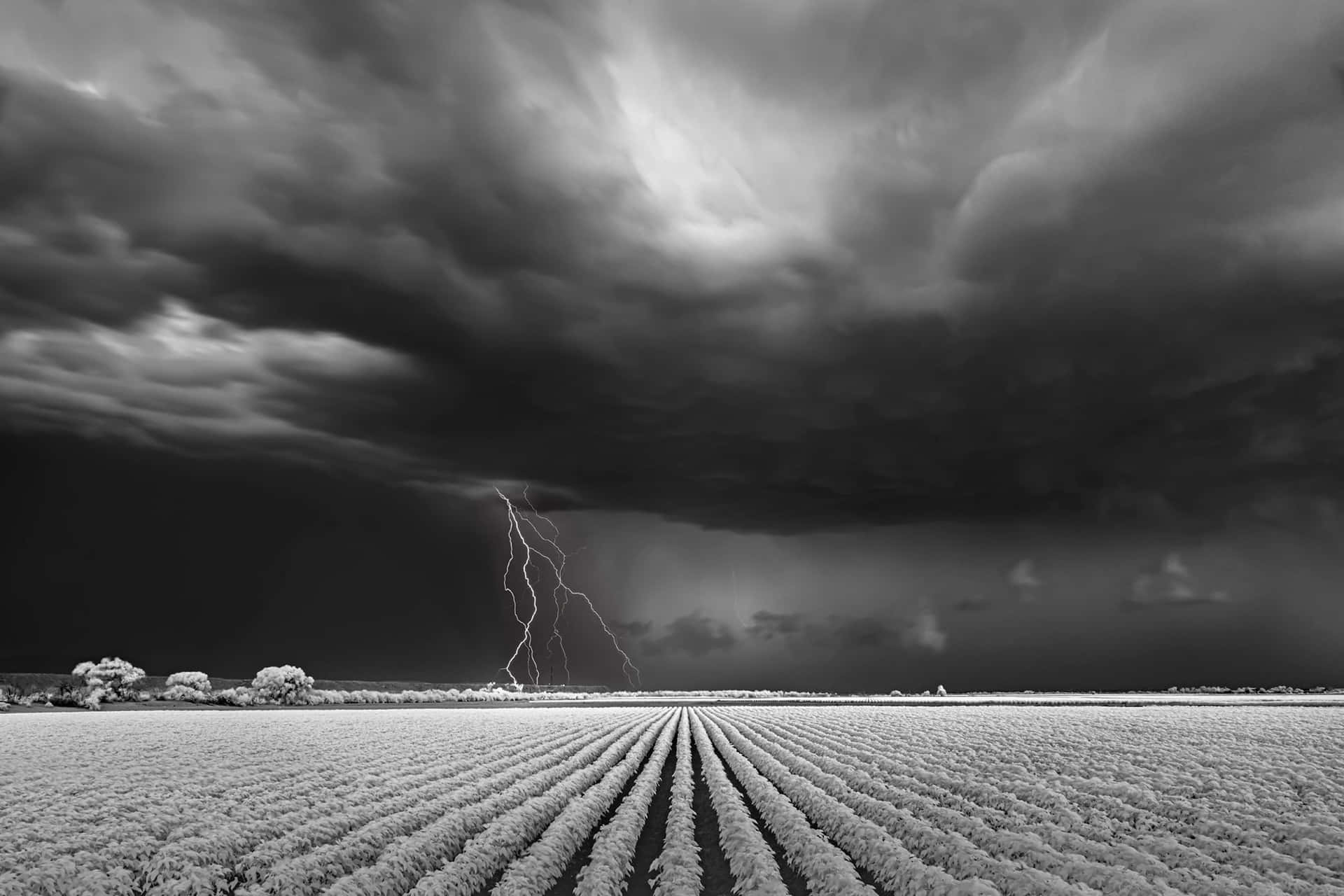 A Powerful Black and White Storm Wallpaper
