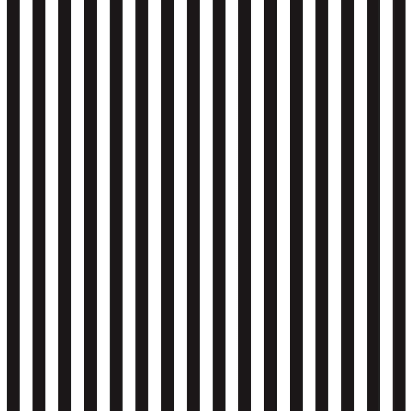 Stylish Black and White Striped Background