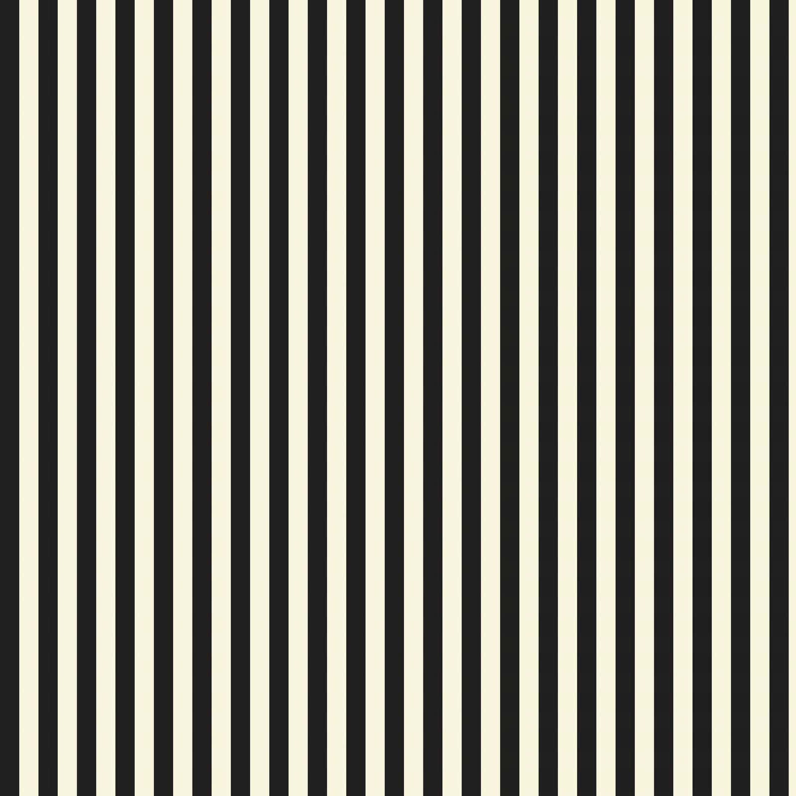 A Black And White Striped Wallpaper