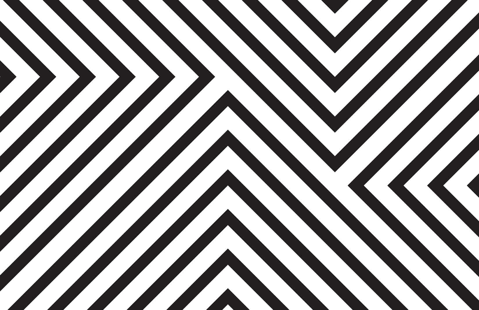 Clear black-and-white striped pattern with striking contrast