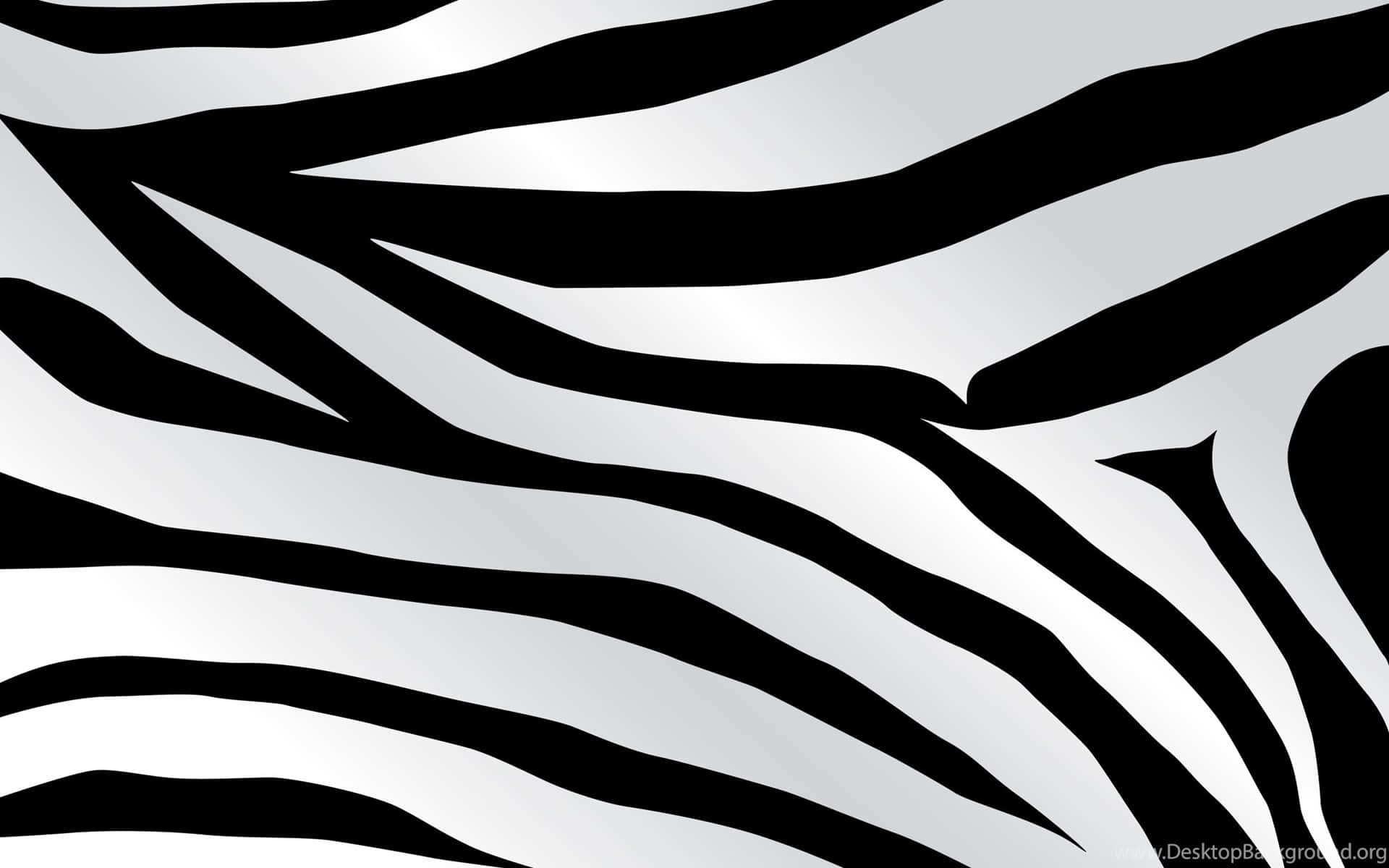 Abstract Black and White Stripes on a Background