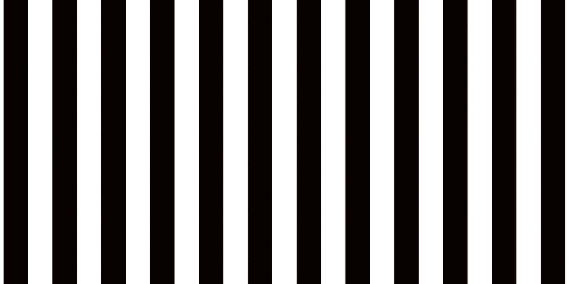 Stylish black and white striped background