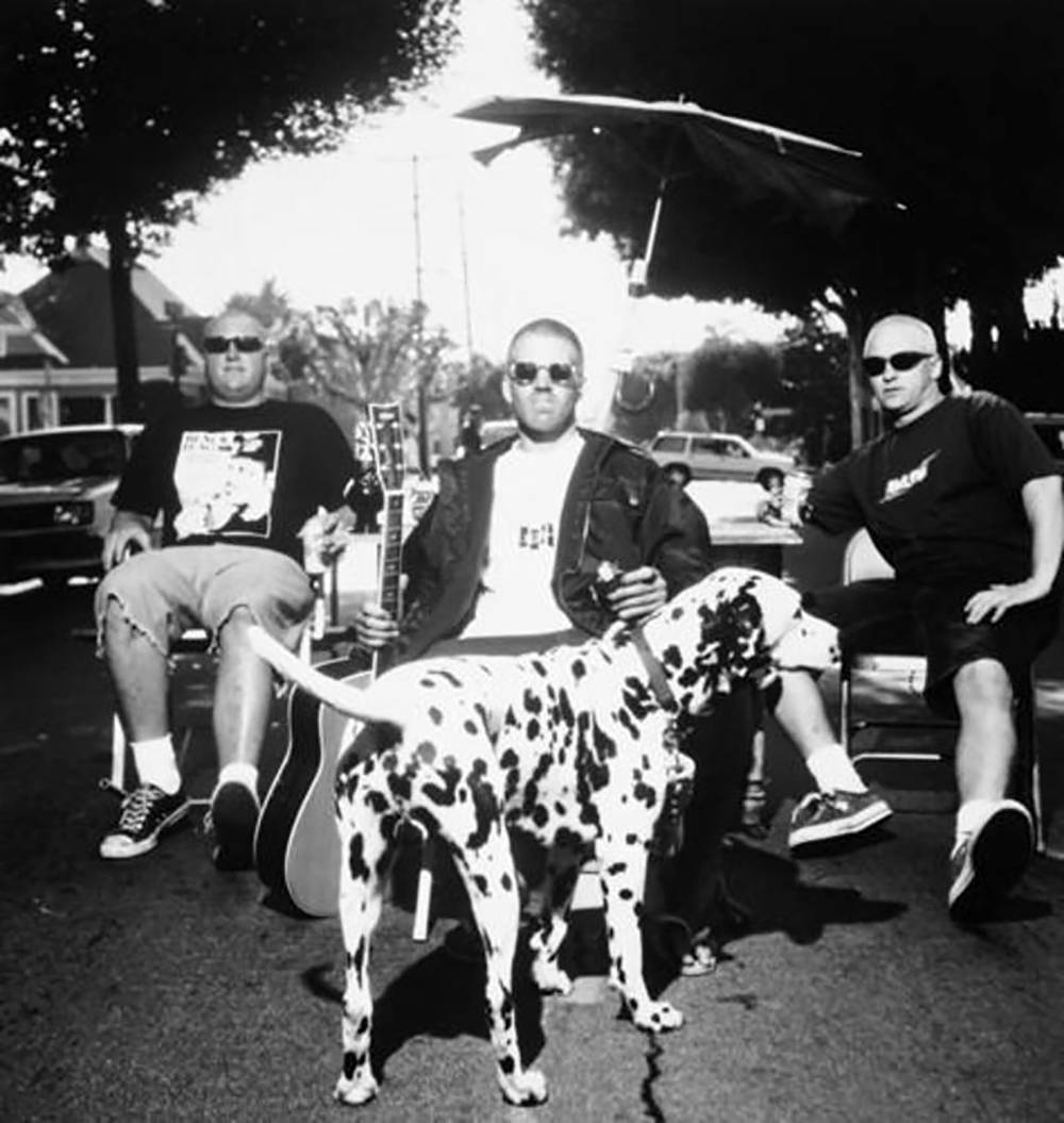 Black And White Sublime With Dalmatian Wallpaper