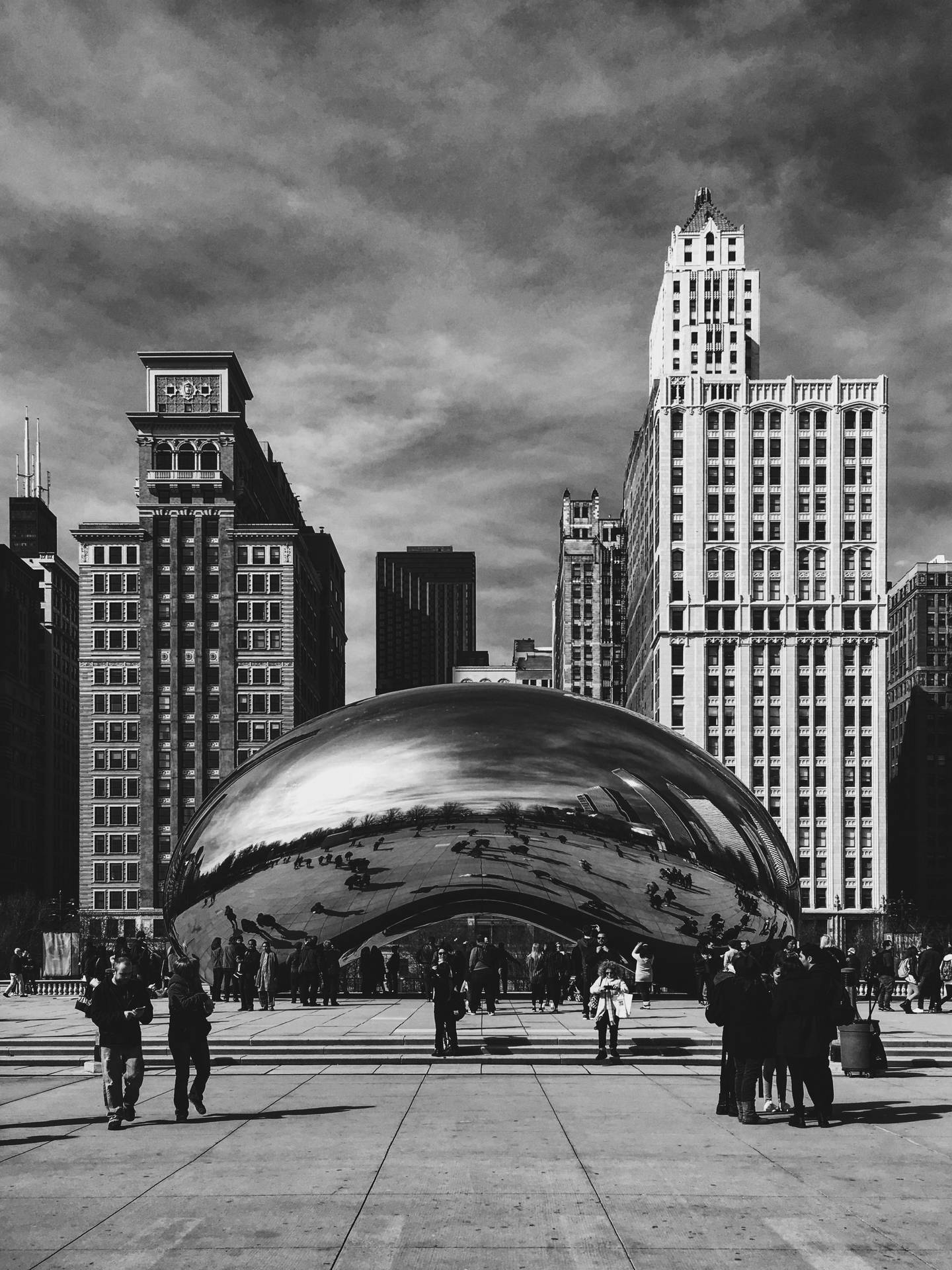 Majestic Monochrome - The Bean Chicago Wallpaper