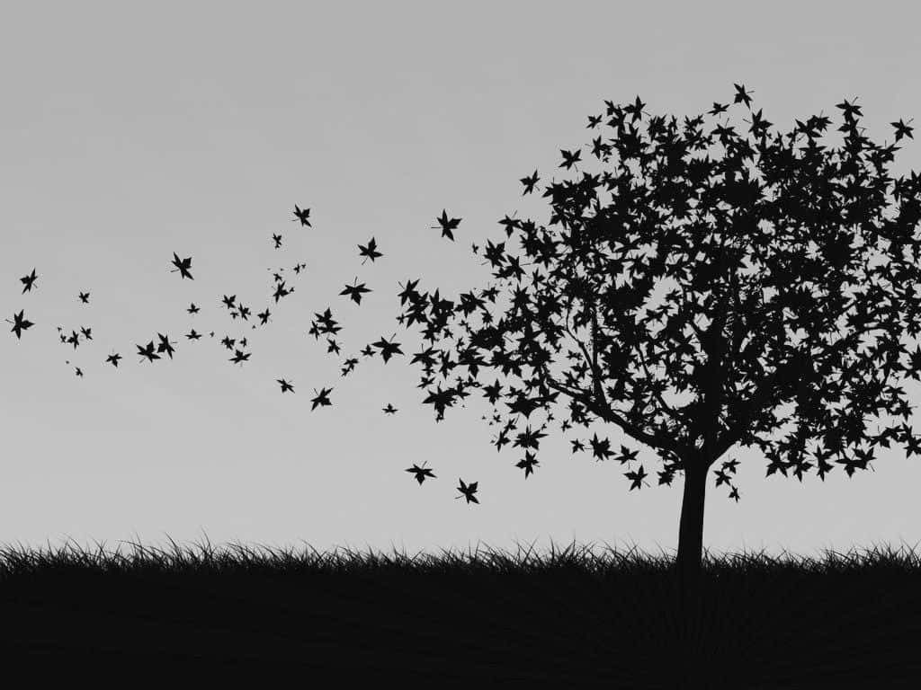 Black And White Tree Silhouette Background Wallpaper Image For Free  Download  Pngtree  Tree silhouette Black and white tree Black and white  wallpaper