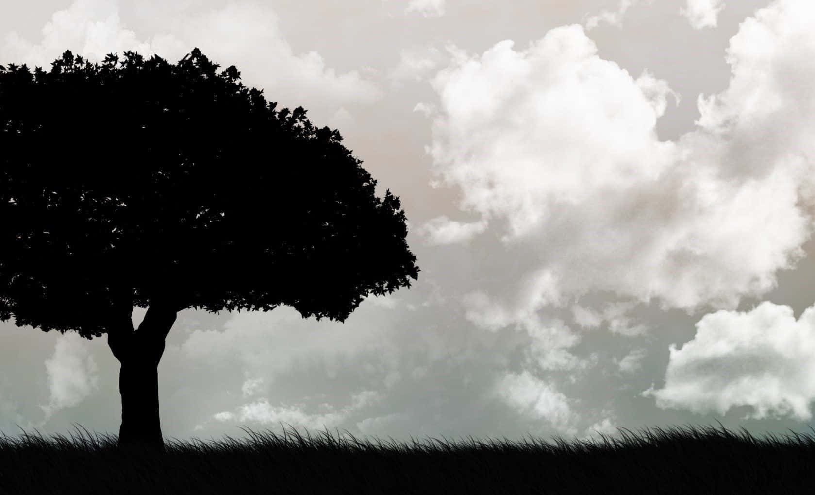 A Stunning Black and White Tree Silhouette Against a Cloudy Sky Wallpaper