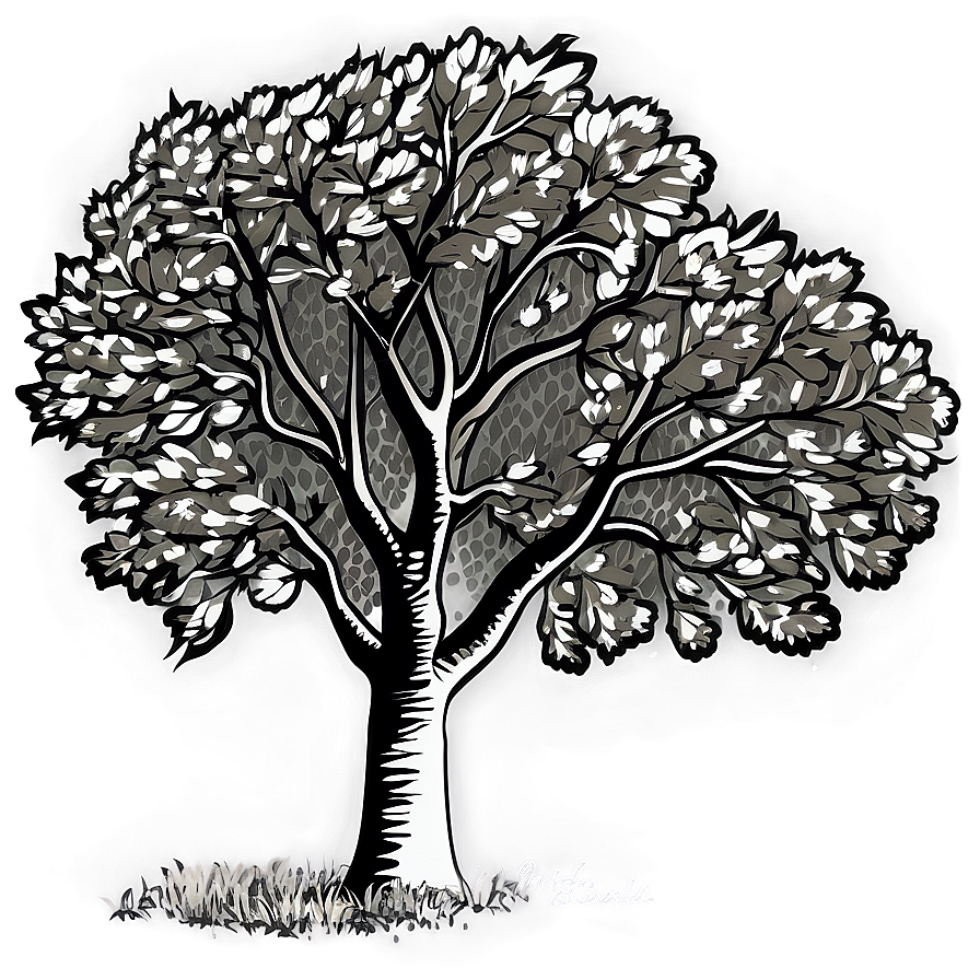 Black And White Tree In Autumn Scene Png Pcm34 PNG