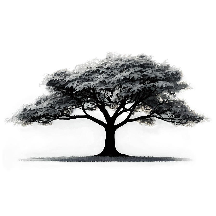 Black And White Tree In Urban Landscape Png Bot79 PNG