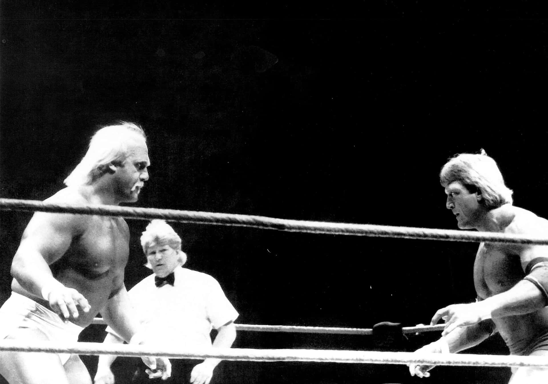 Sort og hvid WWF-wrestlere Hulk Hogan og Paul Orndorff. Wallpaper