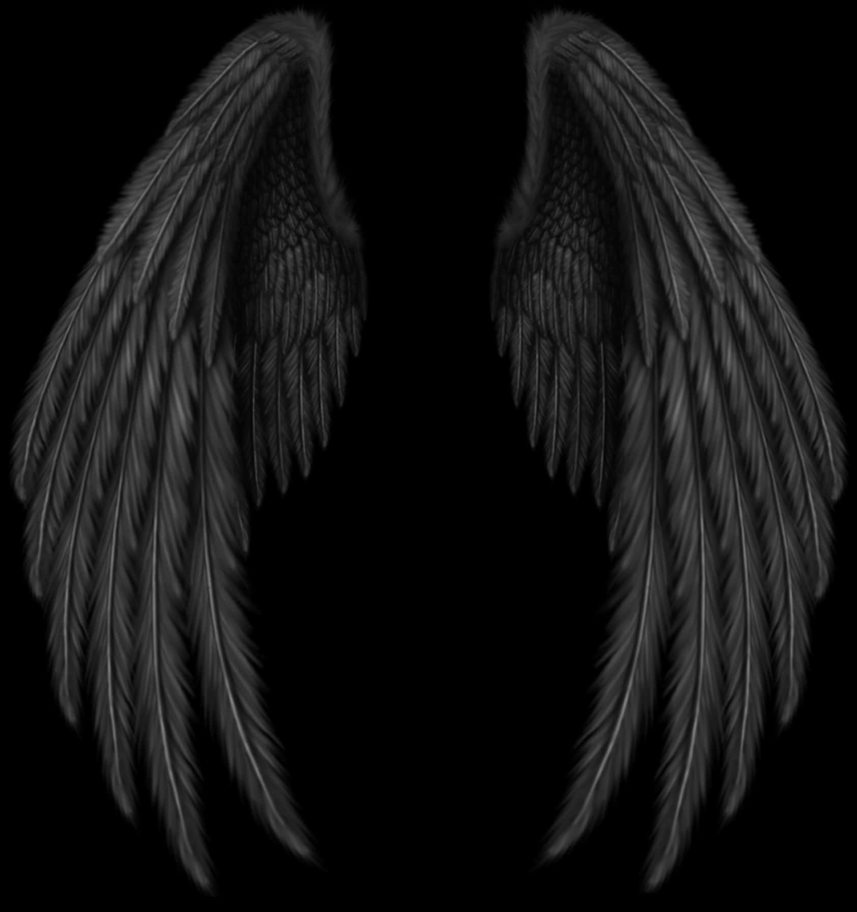Black Angel Wings PNG