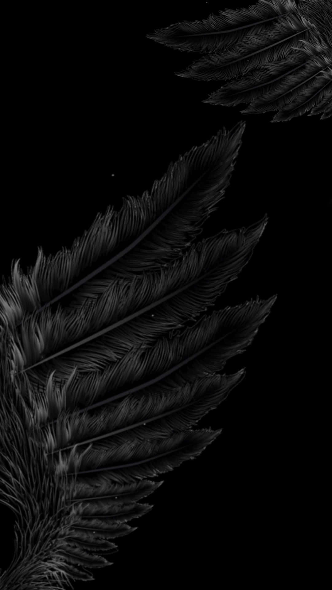 Feel the magical embrace of black angel wings.