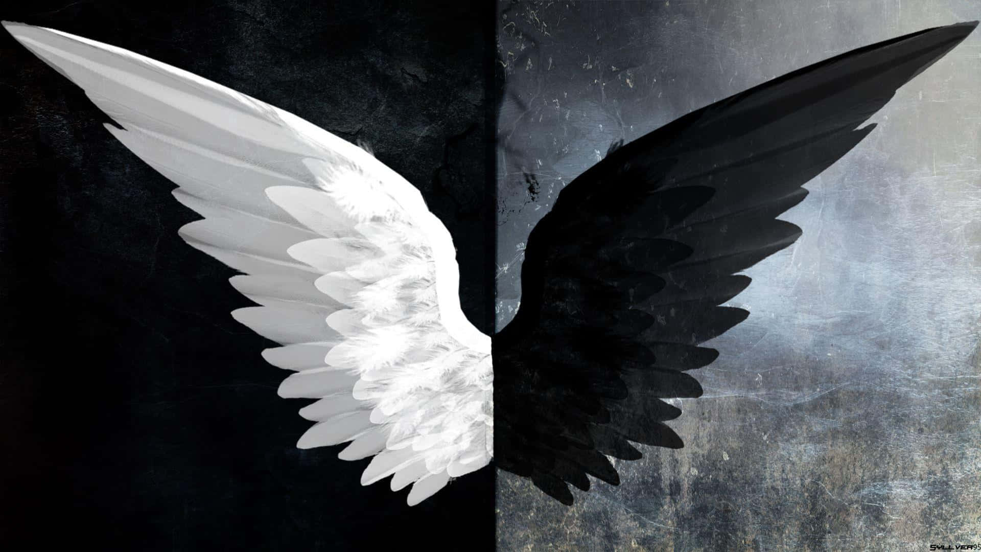 Black Angel wings representing life and spirituality.