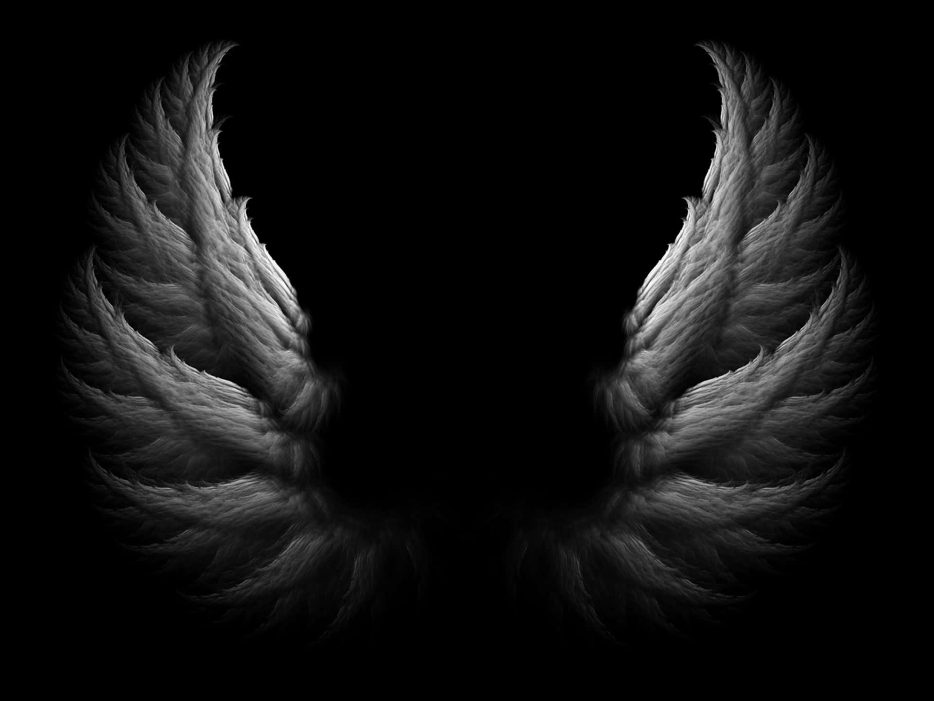 Majestic Black Angel Wings