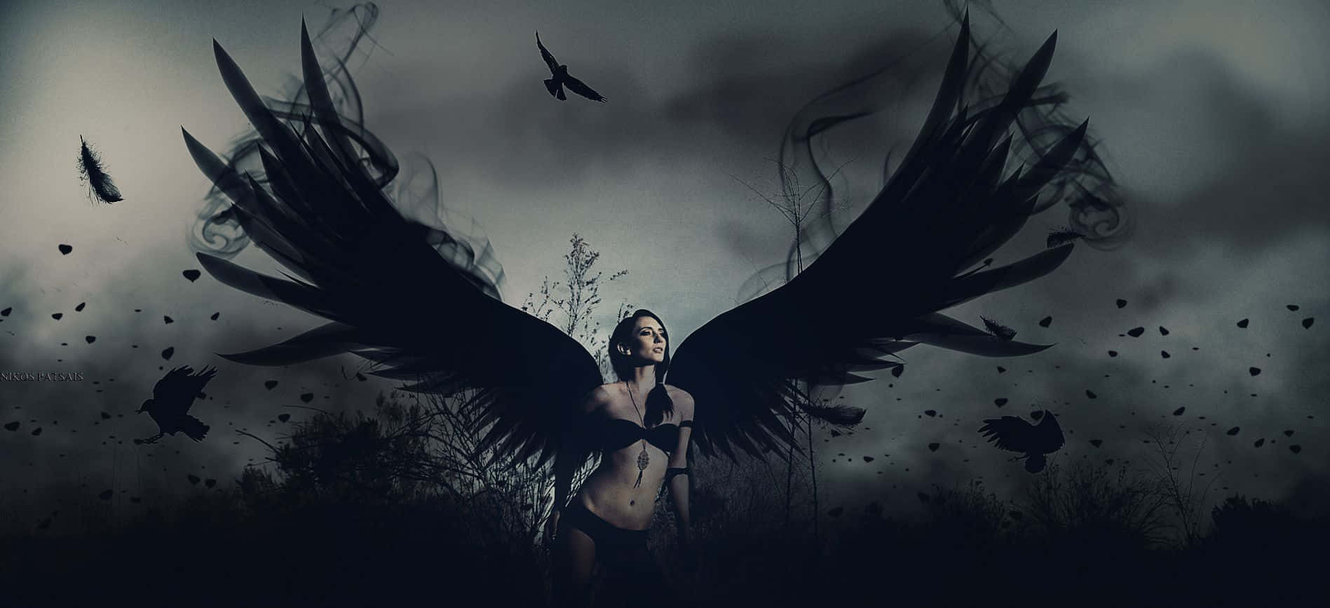 A Woman With Wings In The Dark