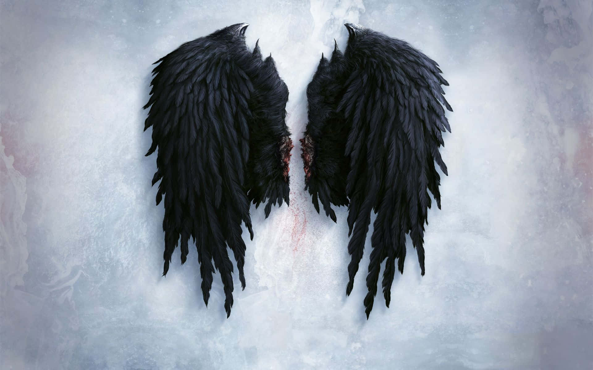 "Black Angel Wings - Freshly Fallen From Heaven"
