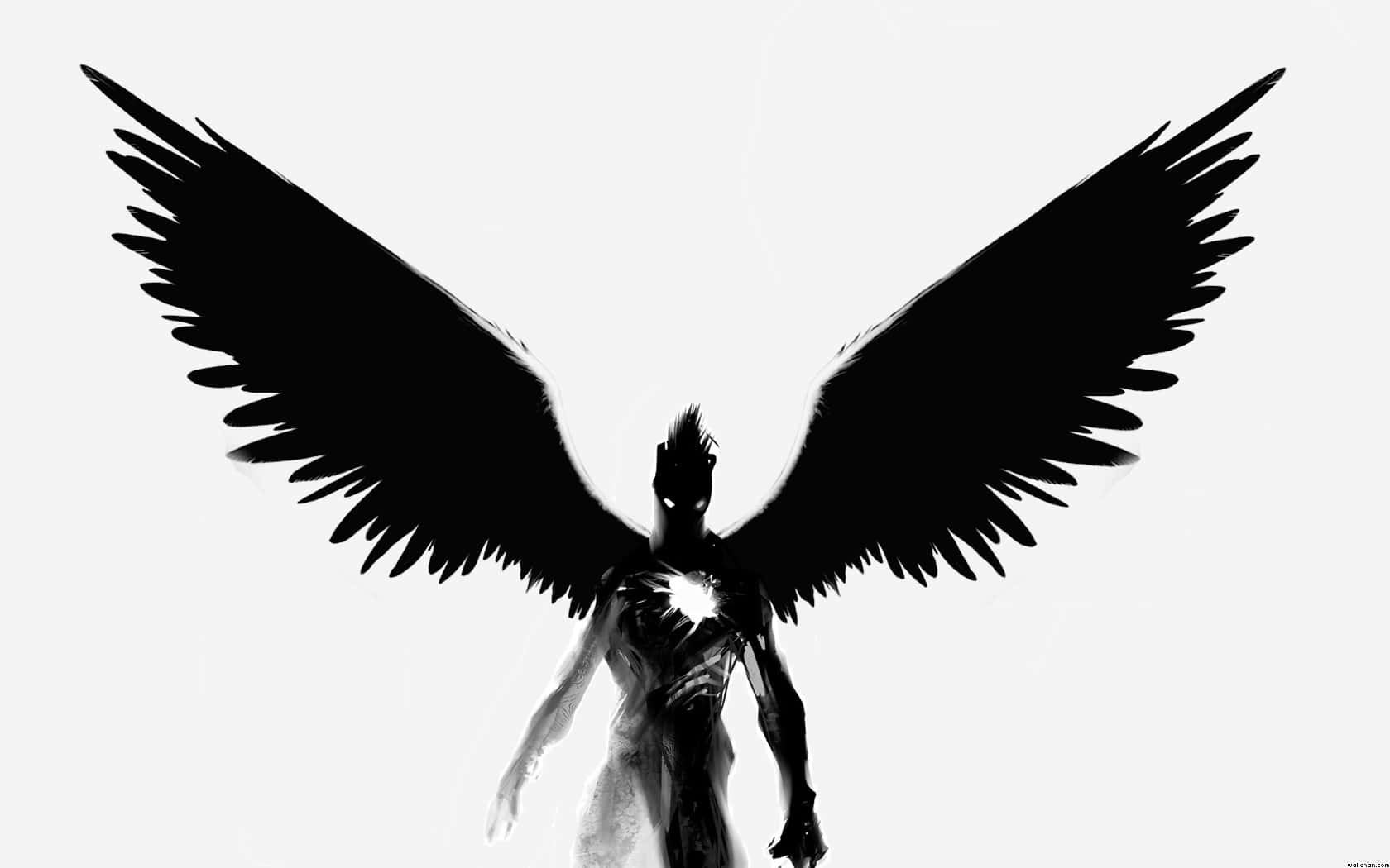 Download Black Angel Wings Background | Wallpapers.com