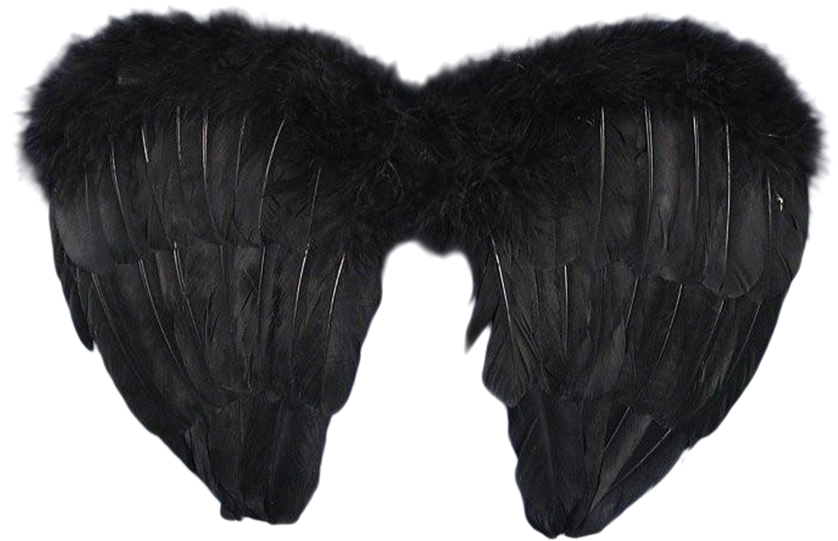 Black Angel Wings Costume Accessory PNG