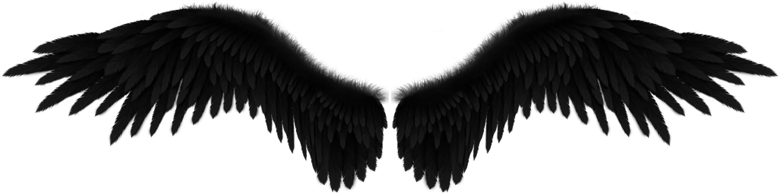 Black Angel Wings Graphic PNG