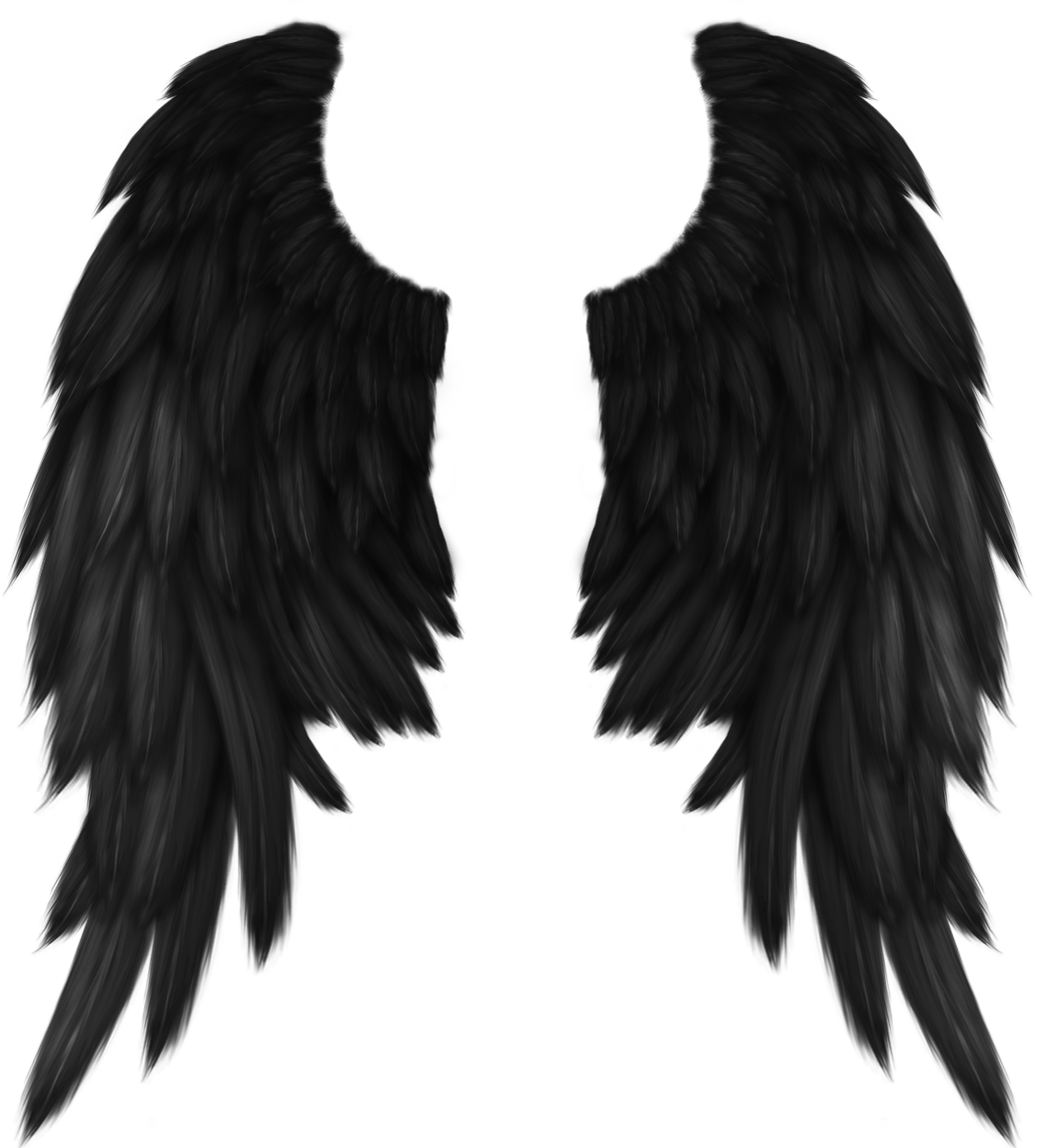 Black Angel Wings Illustration PNG