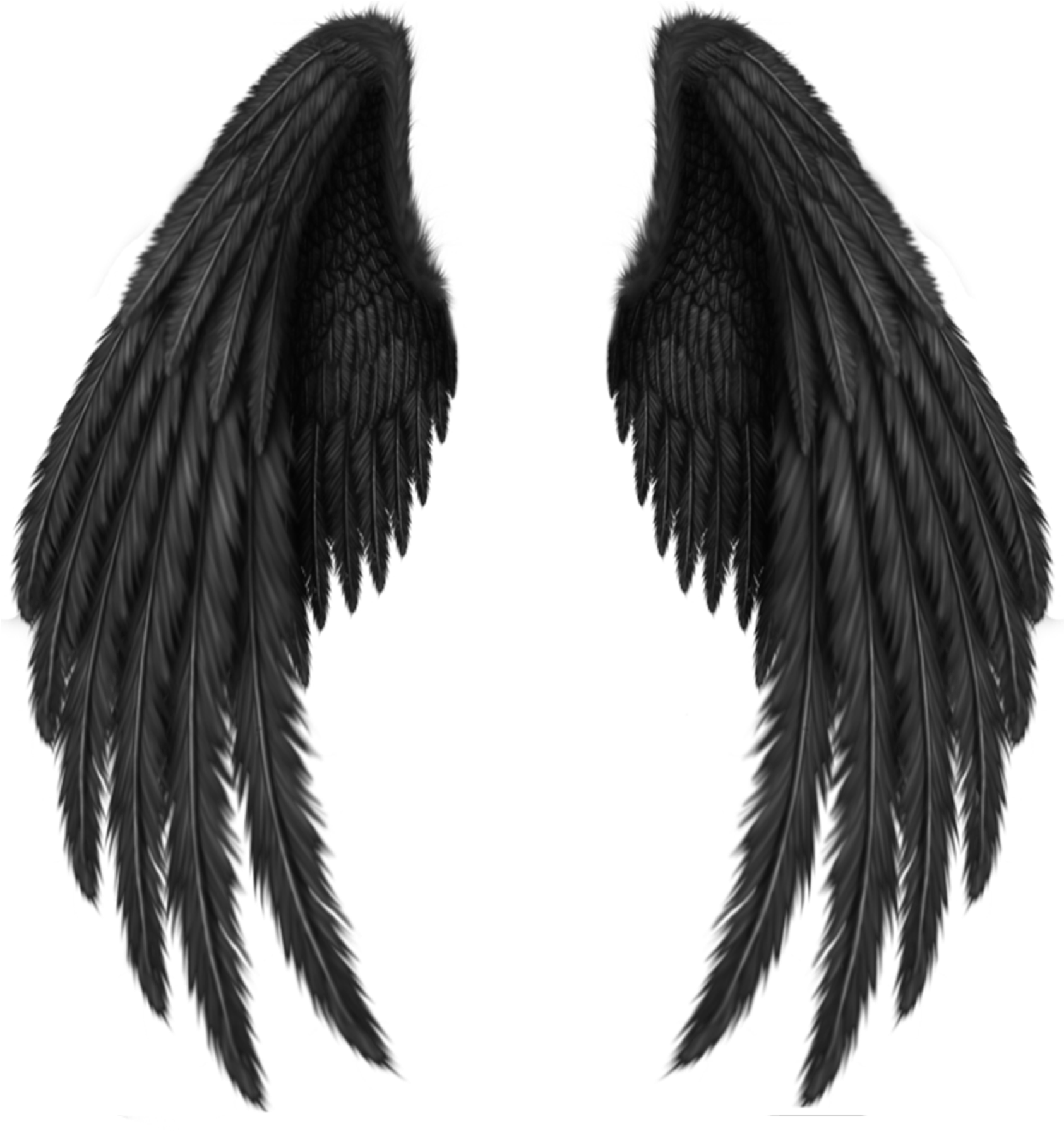 Black Angel Wings PNG