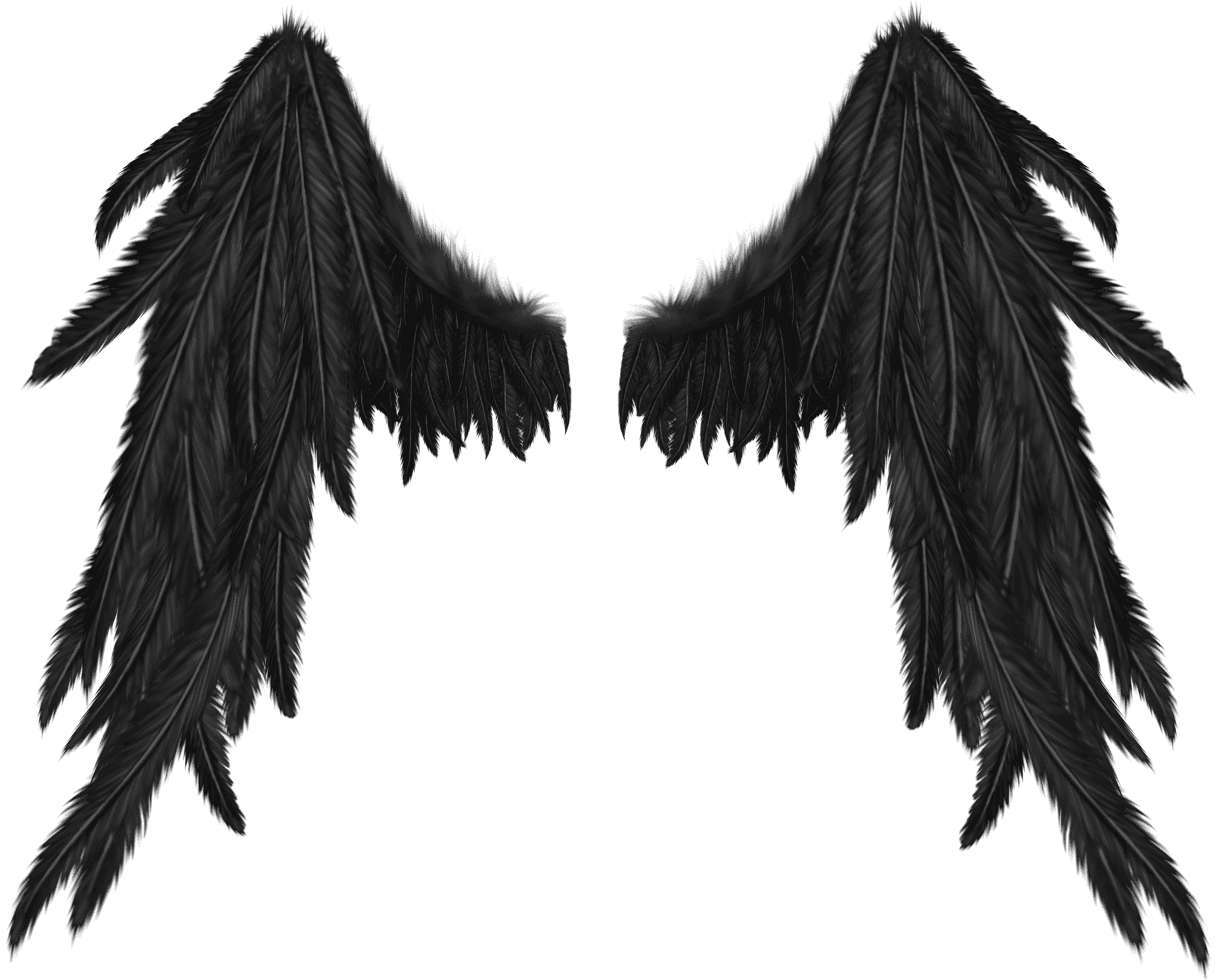 Black Angel Wings Spread PNG