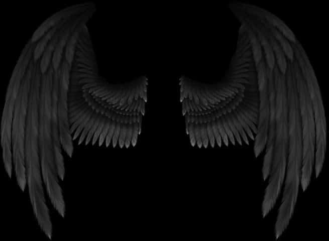 Black Angel Wingson Dark Background.jpg PNG