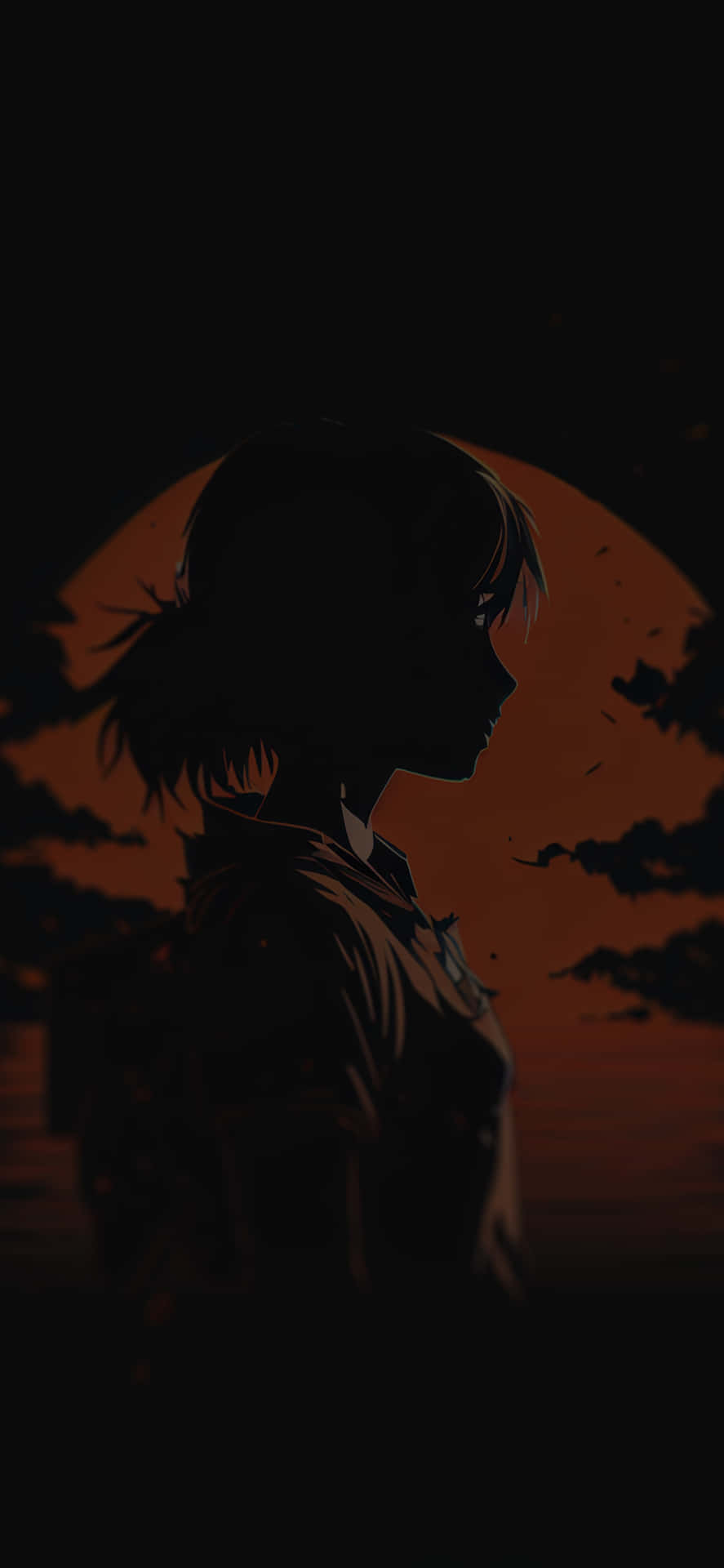 Einesilhouette Einer Frau Vor Einem Sonnenuntergang