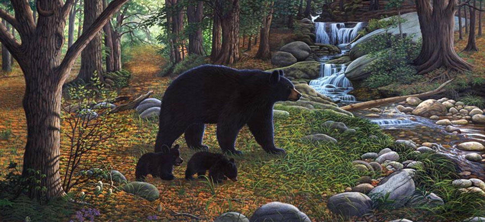 Black Bear Family Painting Wallpaper