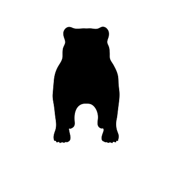 Black Bear Silhouette PNG