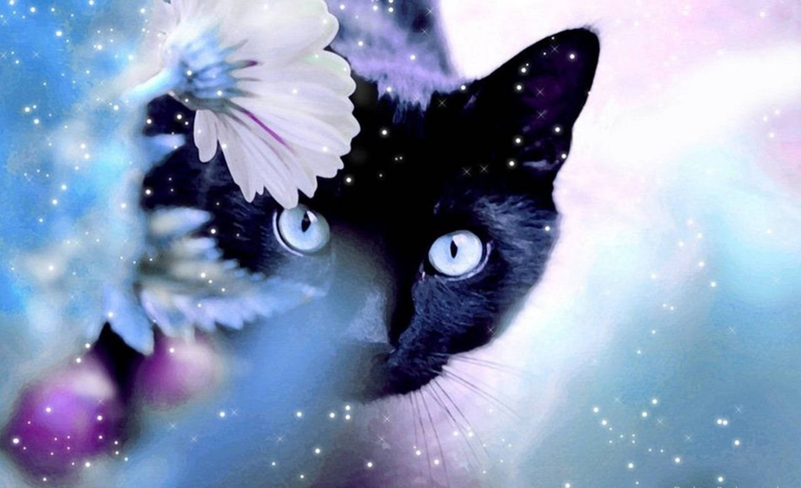 Black Beautiful Cat With Flower Wallpaper
