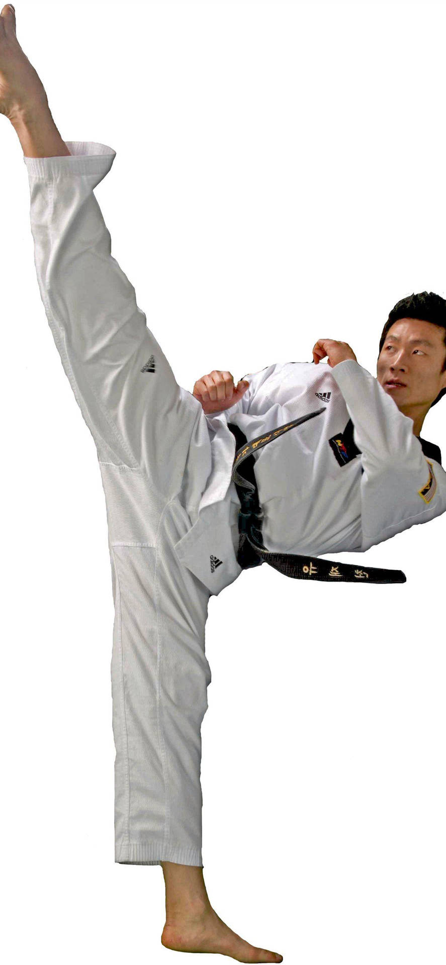 Illustrazionesportiva Di Un Atleta Di Taekwondo Cintura Nera Sfondo