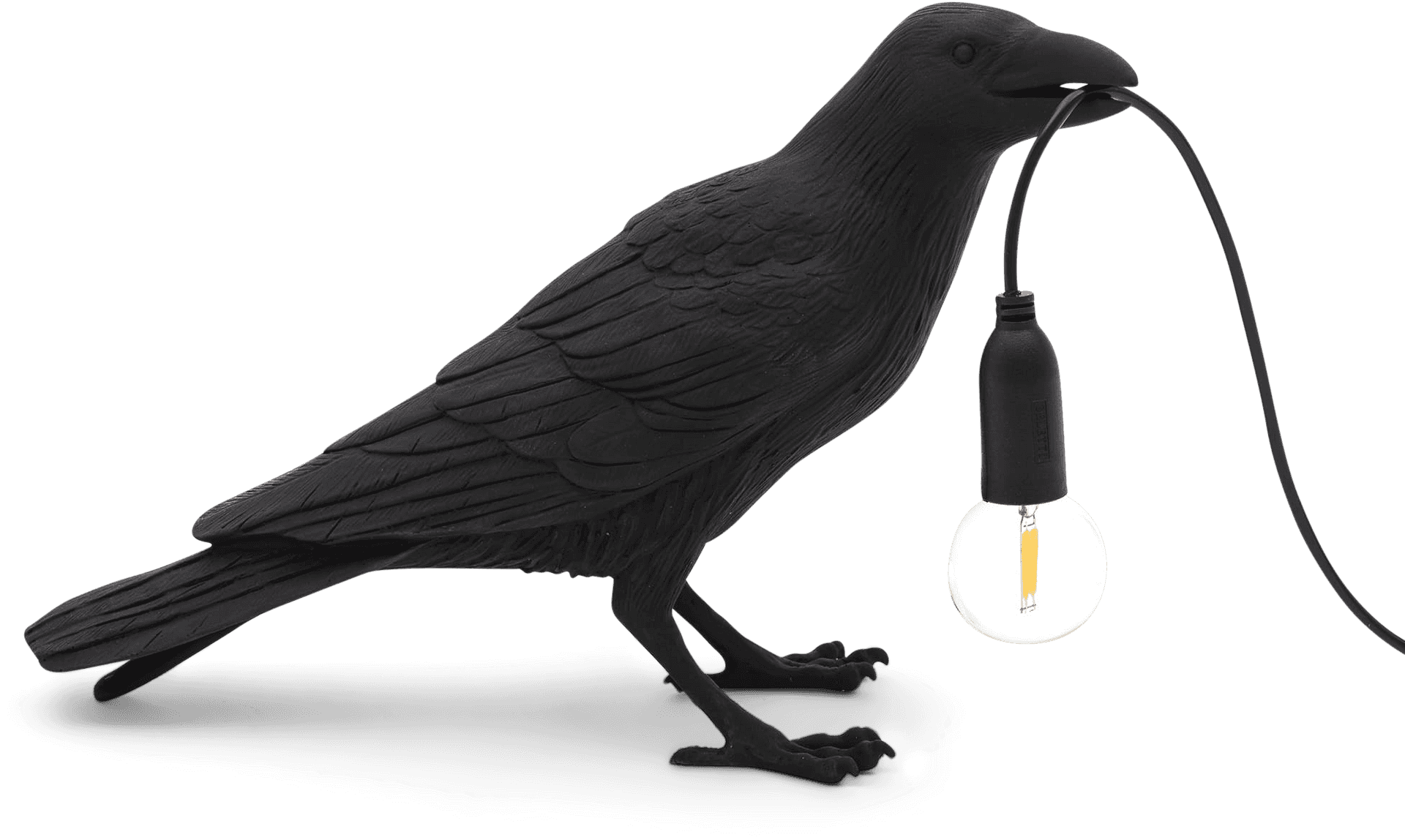Black Bird Holding Light Bulb PNG