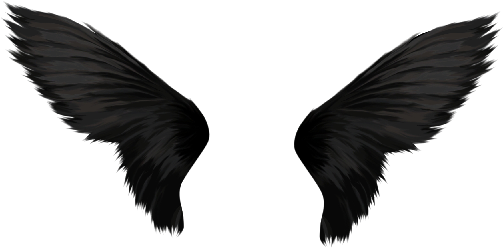 Black Bird Wings Spread PNG