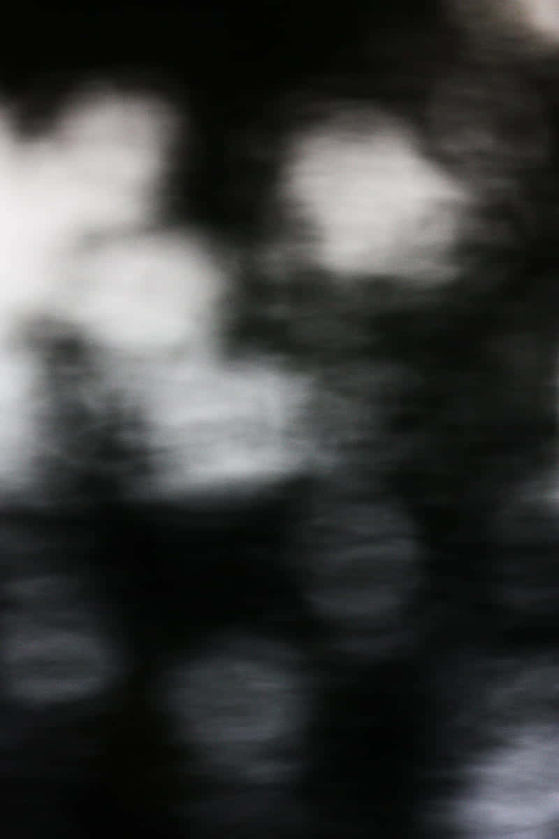 A Blurry Image Of A Tree Wallpaper