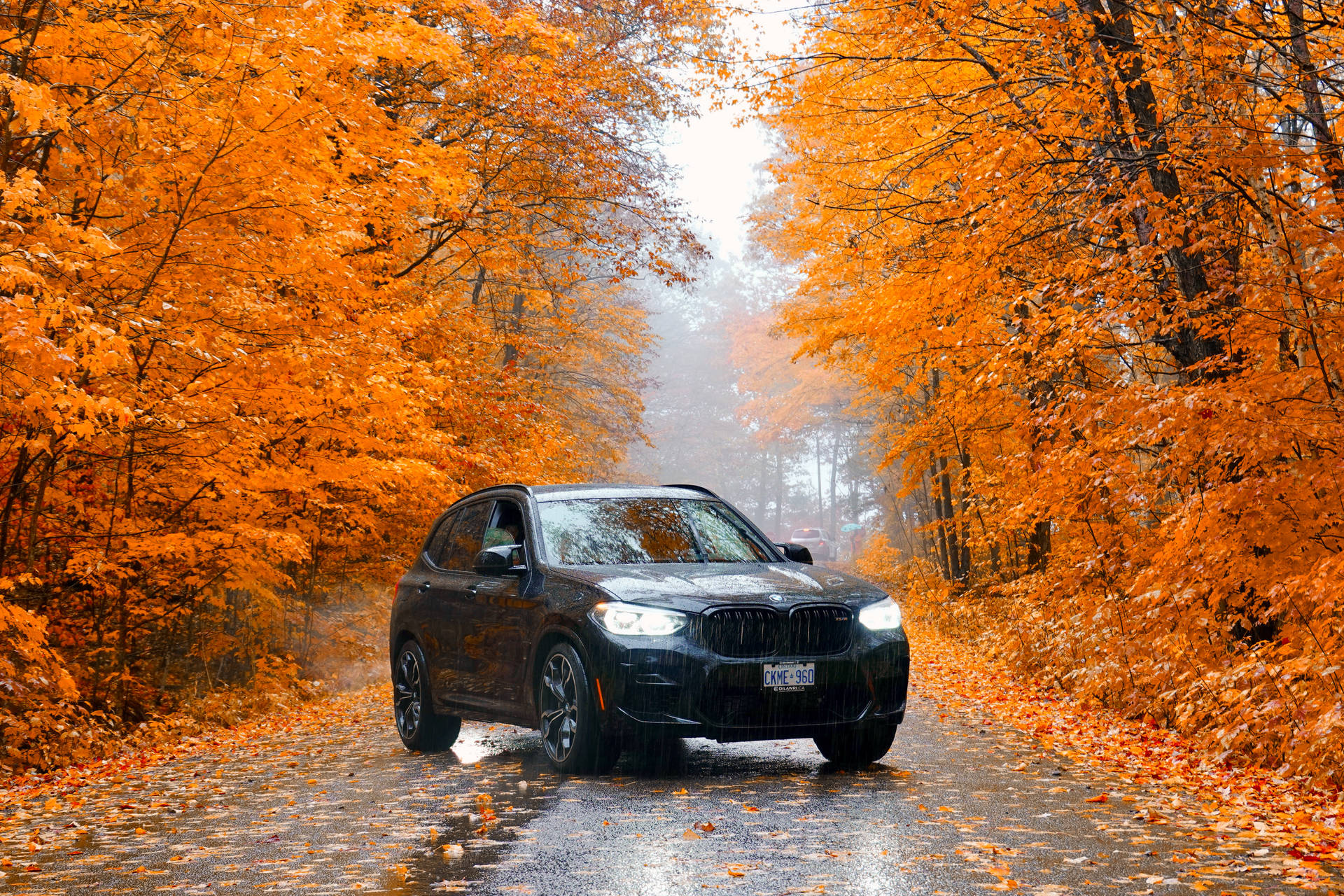 Black BMW M in Vibrant Autumn Scenery Wallpaper