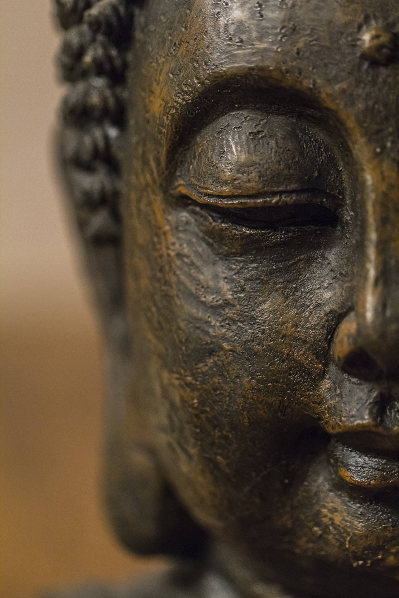 2000 Best Buddha Images  100 Free Download  Pexels Stock Photos