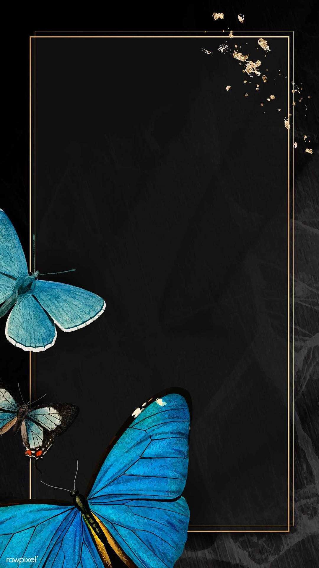 Black Butterfly Aesthetic Wallpaper