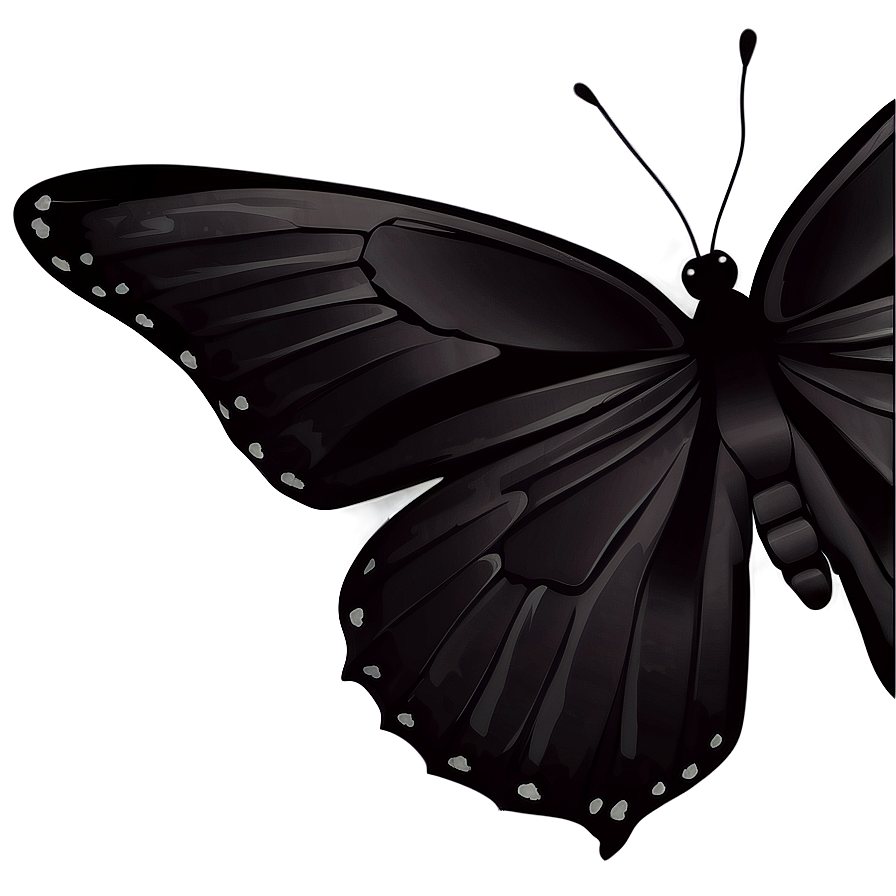 Black Butterfly Clipart Png Fcx67 PNG