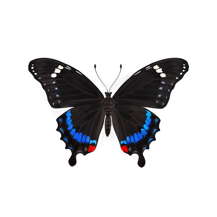 Black Butterfly D PNG