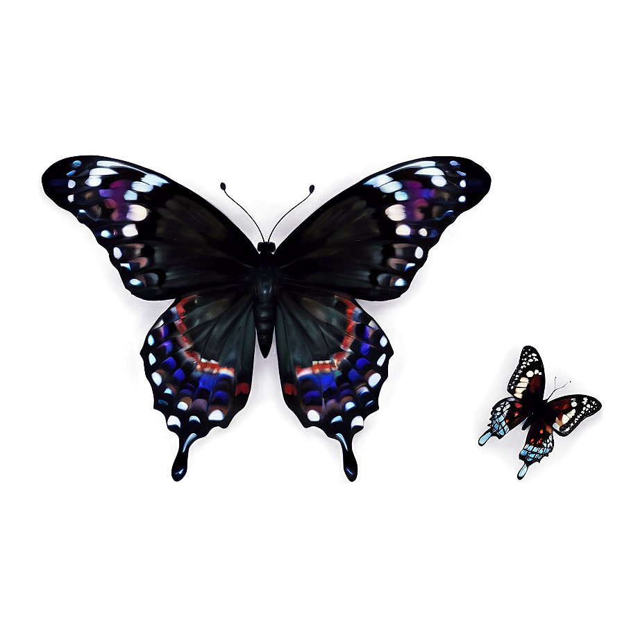 Black Butterfly Effect Png 06252024 PNG