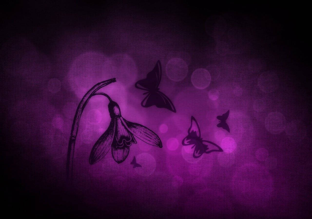 Black Butterfly Graphics Bowing Down Flower Wallpaper
