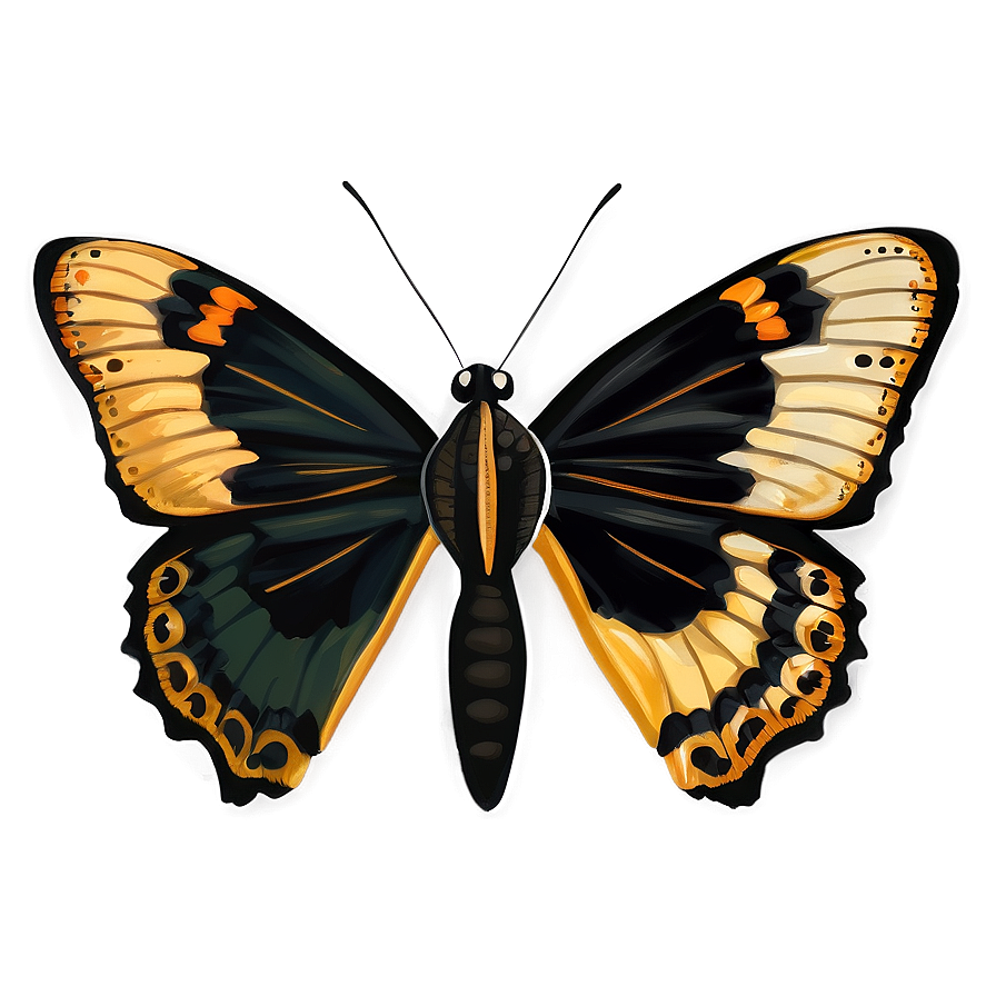 Black Butterfly Illustration Png Efe6 PNG