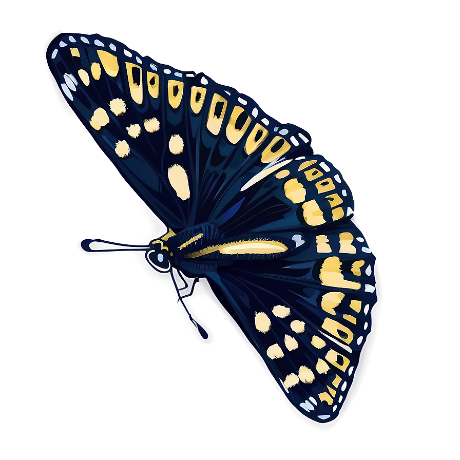 Black Butterfly Illustration Png Rgi PNG