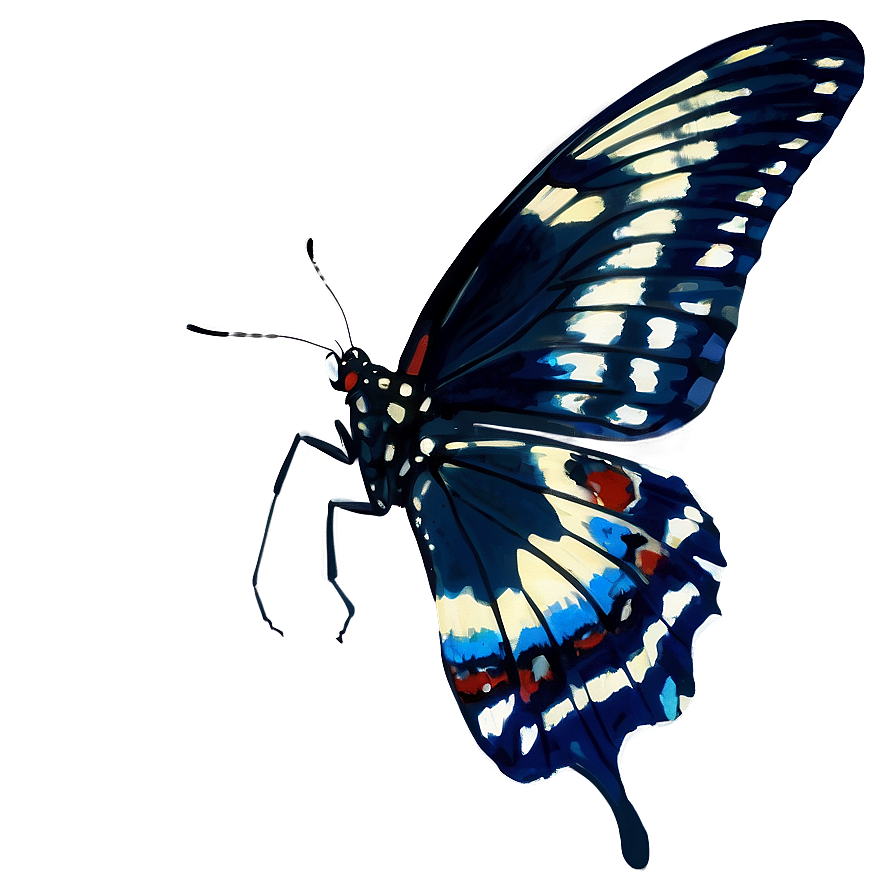 Black Butterfly In Flight Png 06252024 PNG