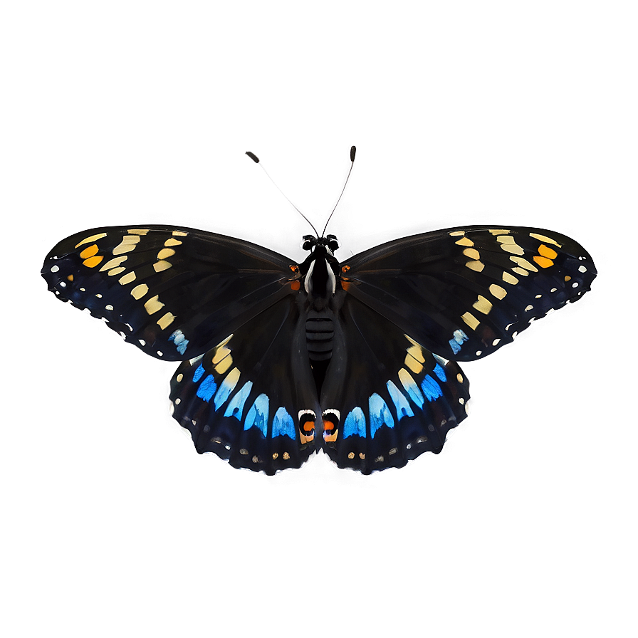 Black Butterfly In Flight Png 06252024 PNG