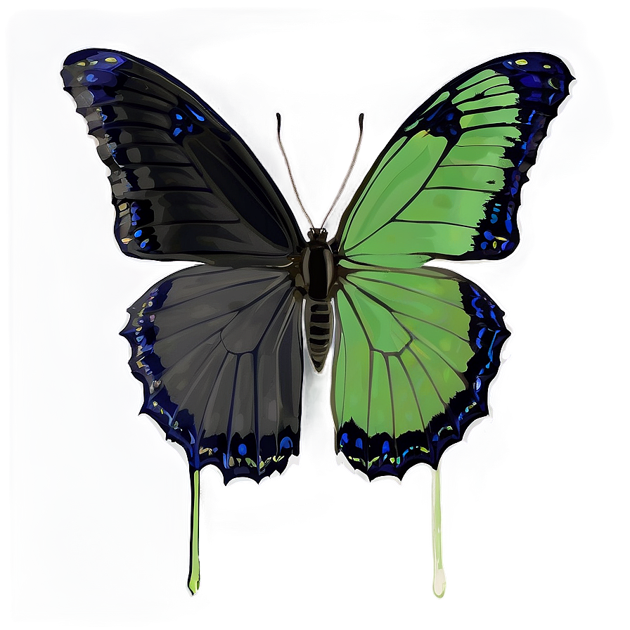 Black Butterfly In Nature Png Eiu PNG