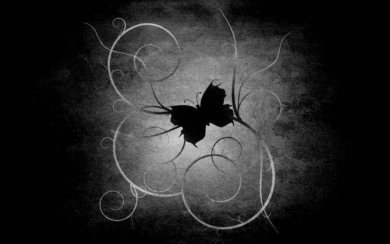 Black Butterfly On Curvy Abstract Lines Wallpaper