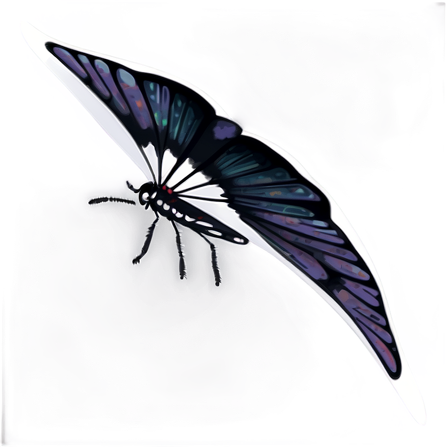 Black Butterfly On White Png 45 PNG