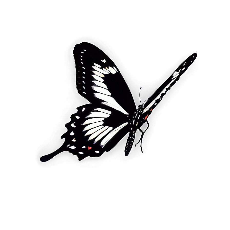 Black Butterfly Profile Png Lyx PNG