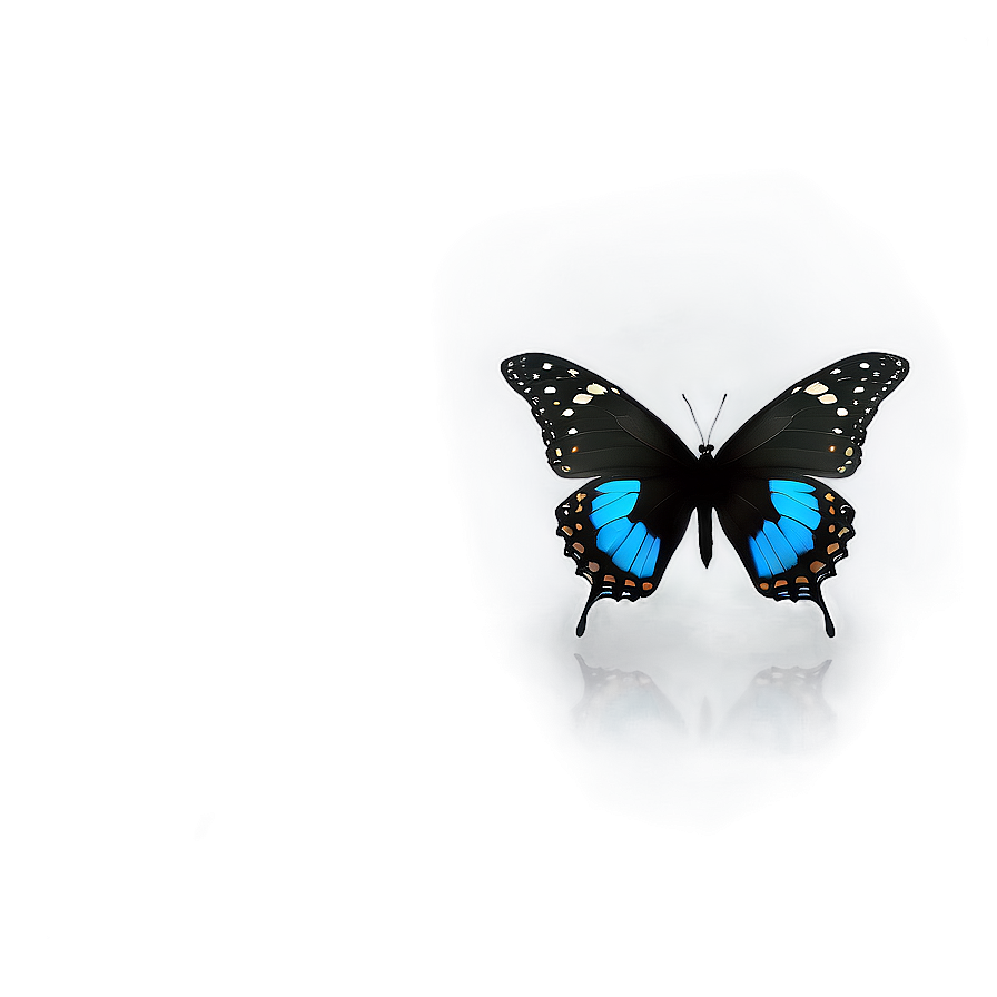 Black Butterfly Profile Png Tah PNG